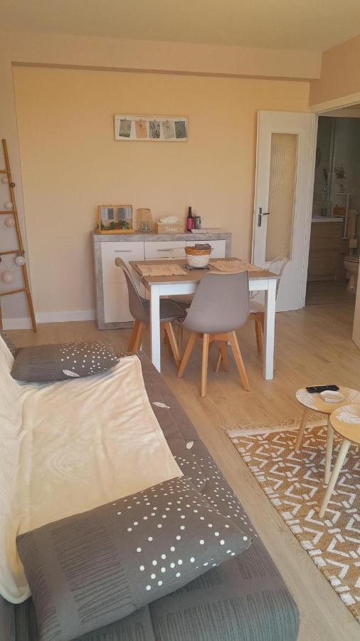 Chateauroux : Bel Appartement Avec Balcon Екстериор снимка